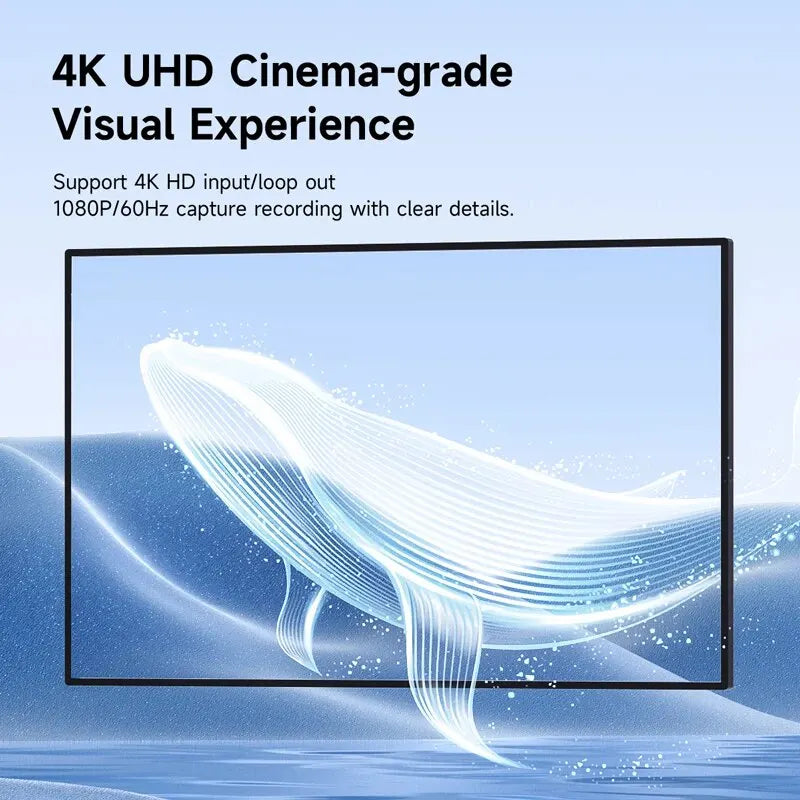 Hagibis 4K Capture Card