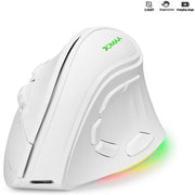 Ergonomic Vertical Wireless Mouse