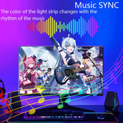 RGBIC Monitor Sync Backlight