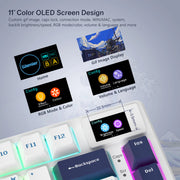 Womier Gasket Mechanical Keyboard